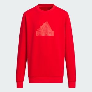 【adidas】大童CNY厚磅棉長袖上衣