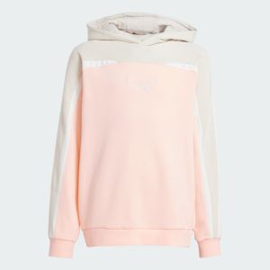 adidas 大童 Original 長袖連帽上衣